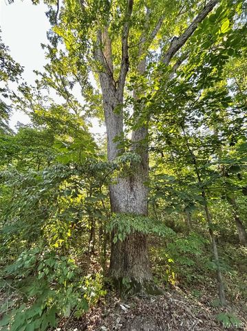 0 Tract 3 Private Lane 301 Off Highway 72, Salem, MO 65560