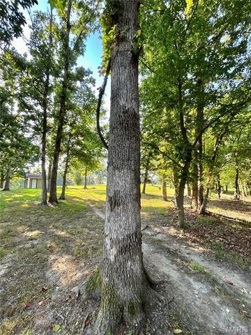 0 Tract 3 Private Lane 301 Off Highway 72, Salem, MO 65560