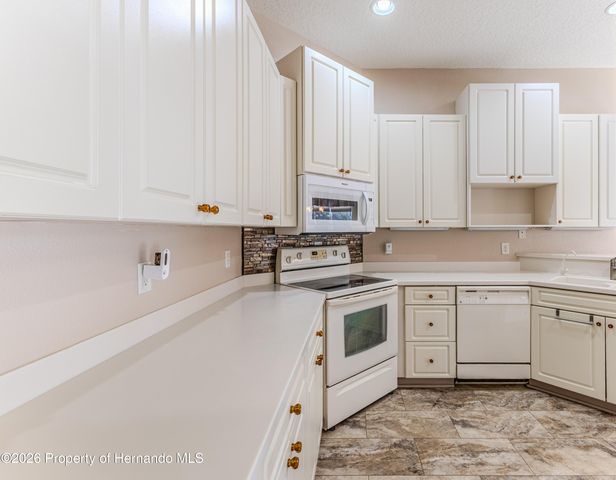 9406 Burnam Drive, Spring Hill, FL 34613