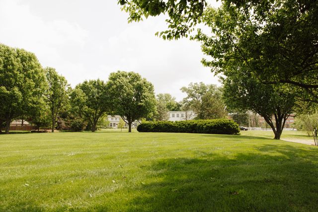 3636 S Britain Avenue, Springfield, MO 65807