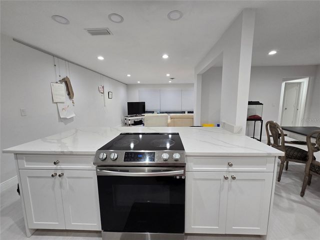 1028 CHINABERRY ROAD, Clearwater, FL 33764