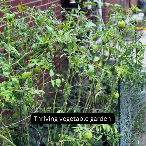 2317 Magdalena Drive, Springfield Twp., OH 45231