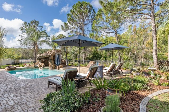 14810 NINEBARK COURT, Land O Lakes, FL 34638