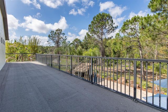 14810 NINEBARK COURT, Land O Lakes, FL 34638
