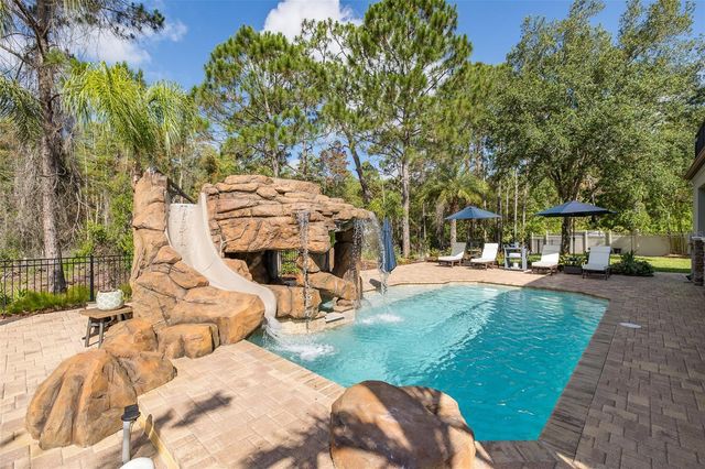14810 NINEBARK COURT, Land O Lakes, FL 34638