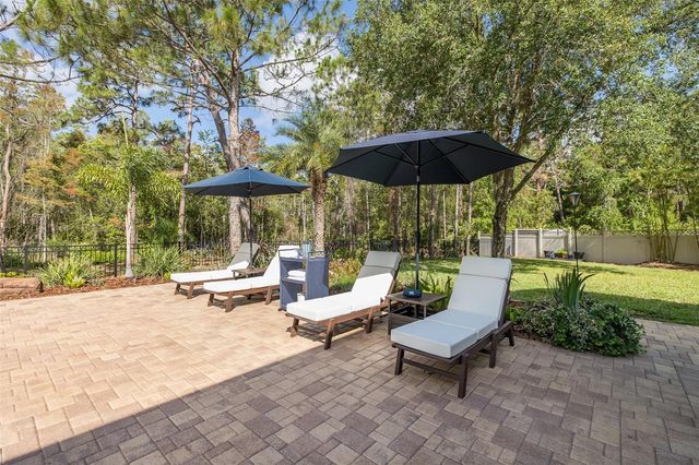 14810 NINEBARK COURT, Land O Lakes, FL 34638
