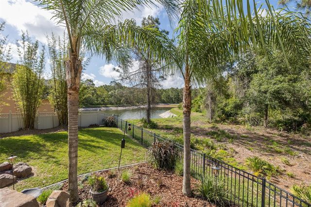 14810 NINEBARK COURT, Land O Lakes, FL 34638