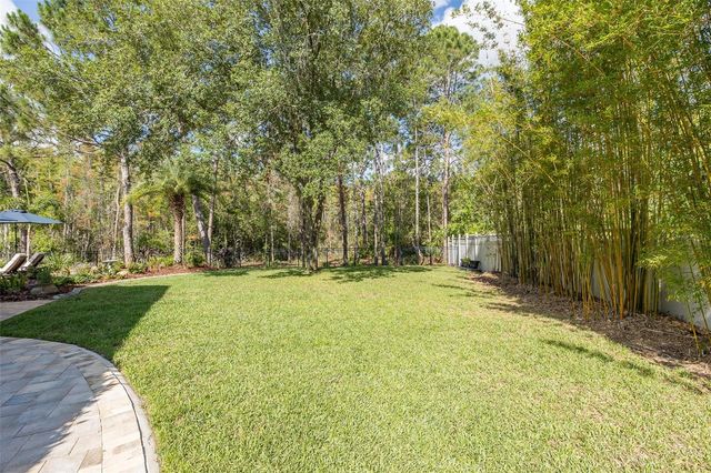14810 NINEBARK COURT, Land O Lakes, FL 34638