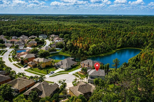 14810 NINEBARK COURT, Land O Lakes, FL 34638