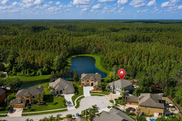 14810 NINEBARK COURT, Land O Lakes, FL 34638