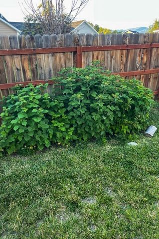 2329 Sturnella Lane, Belgrade, MT 59714