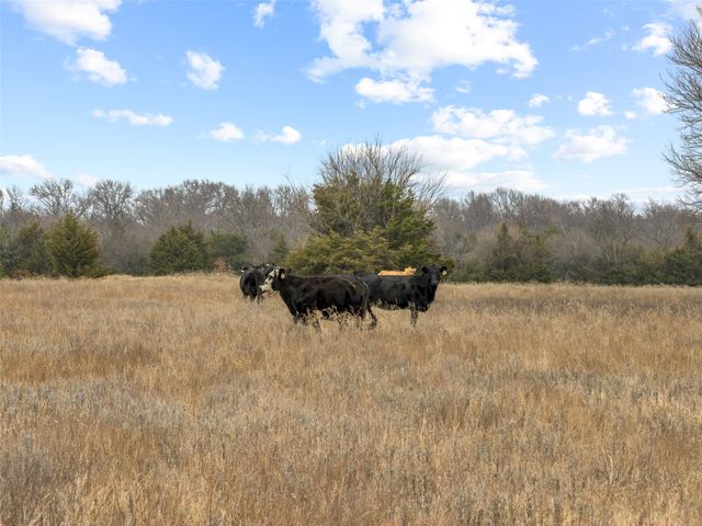 Tract 2 County Road 1255, Savoy, TX 75479