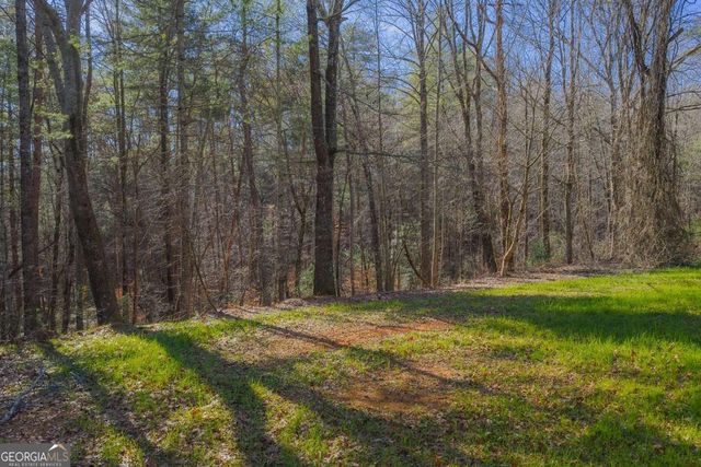 36.8 AC Pleasant Oak Trail 3 & 4, Ellijay, GA 30540