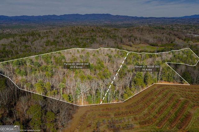 36.8 AC Pleasant Oak Trail 3 & 4, Ellijay, GA 30540