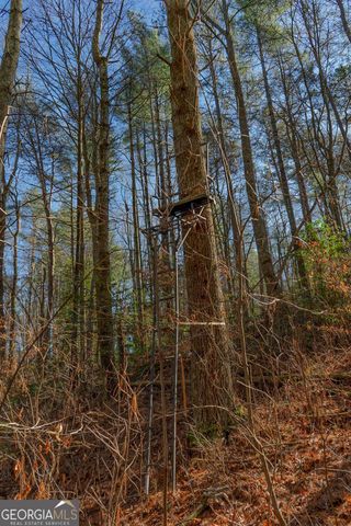 36.8 AC Pleasant Oak Trail 3 & 4, Ellijay, GA 30540