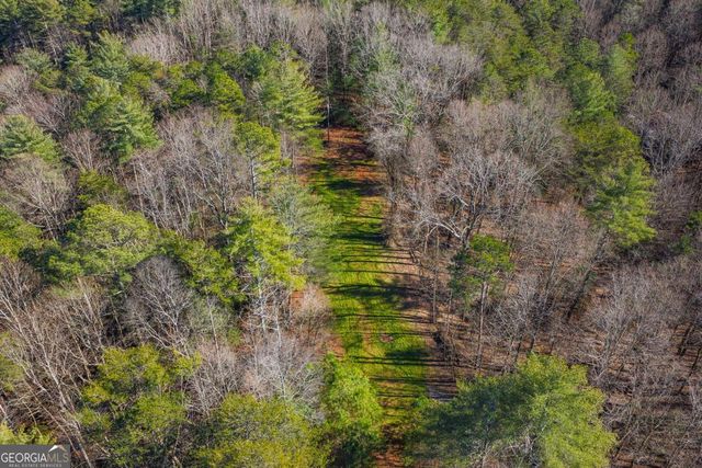 36.8 AC Pleasant Oak Trail 3 & 4, Ellijay, GA 30540