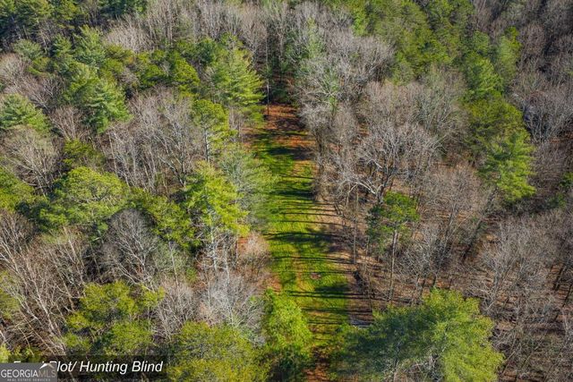 36.8 AC Pleasant Oak Trail 3 & 4, Ellijay, GA 30540