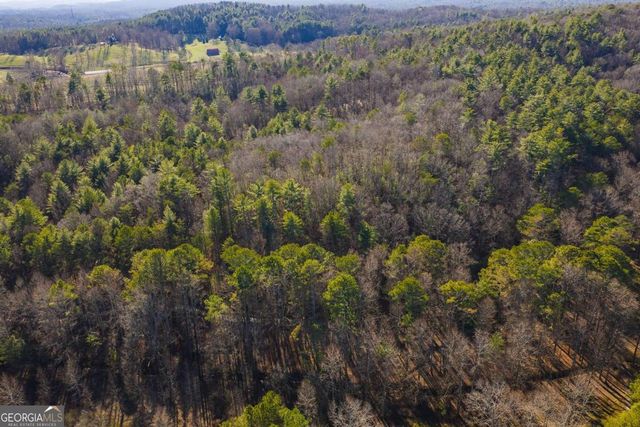 36.8 AC Pleasant Oak Trail 3 & 4, Ellijay, GA 30540