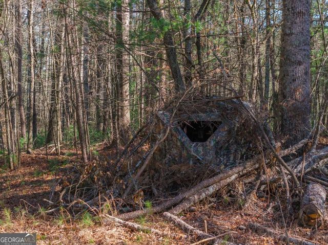 36.8 AC Pleasant Oak Trail 3 & 4, Ellijay, GA 30540