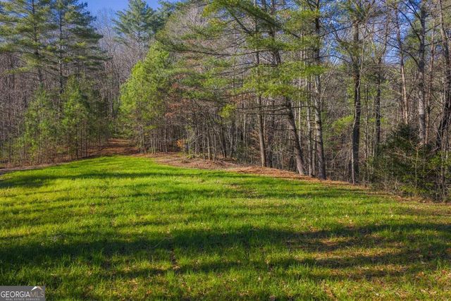 36.8 AC Pleasant Oak Trail 3 & 4, Ellijay, GA 30540