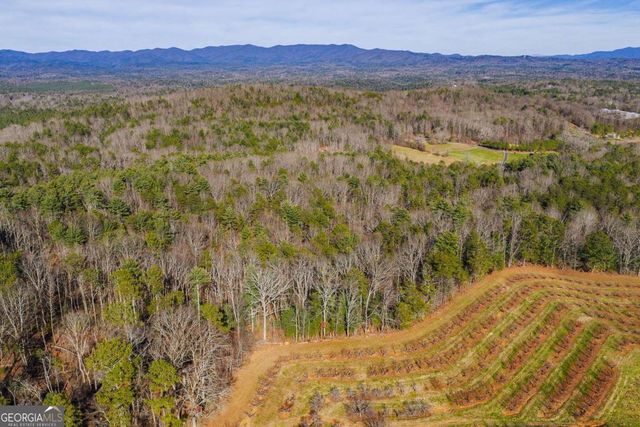 36.8 AC Pleasant Oak Trail 3 & 4, Ellijay, GA 30540