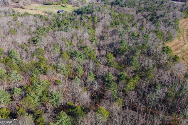 36.8 AC Pleasant Oak Trail 3 & 4, Ellijay, GA 30540