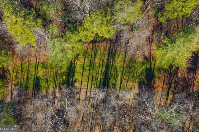 36.8 AC Pleasant Oak Trail 3 & 4, Ellijay, GA 30540