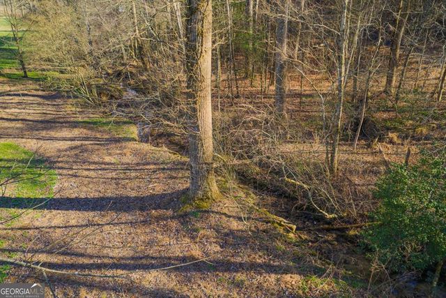 36.8 AC Pleasant Oak Trail 3 & 4, Ellijay, GA 30540