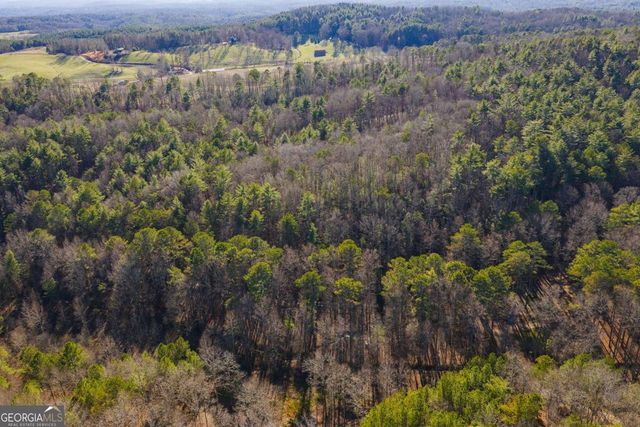 36.8 AC Pleasant Oak Trail 3 & 4, Ellijay, GA 30540