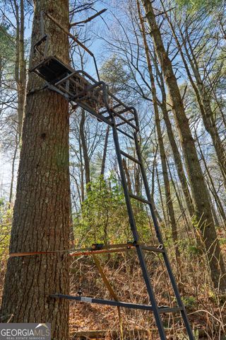 36.8 AC Pleasant Oak Trail 3 & 4, Ellijay, GA 30540