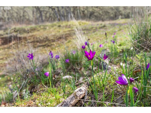 2455 OSBORN CUTOFF Rd, Mosier, OR 97040