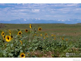 6 TBD County Road 122, Carr, CO 80612