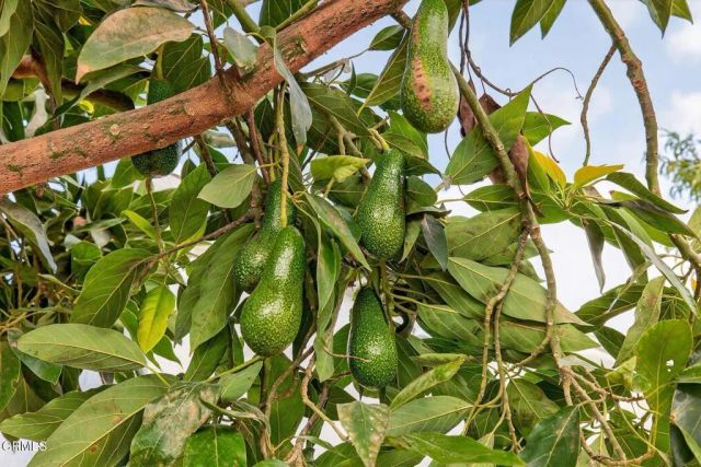 295 W Mission Street, Ventura, CA 93001