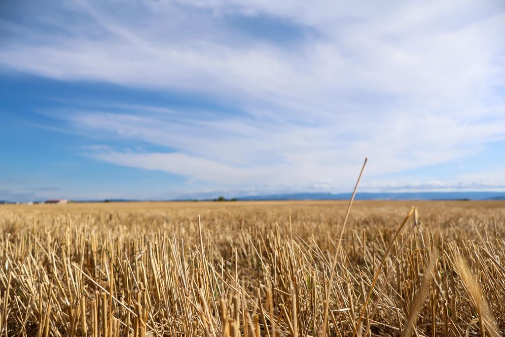 TBD US Hwy 191, Lewistown, MT 59457 photo 2