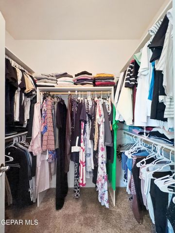 1649 ROCK DOVE Lane, El Paso, TX 79911