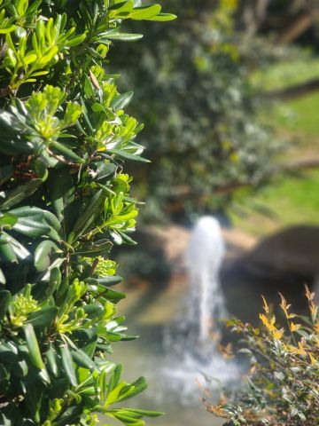 4011 Layang Layang Cir F, Carlsbad, CA 92008