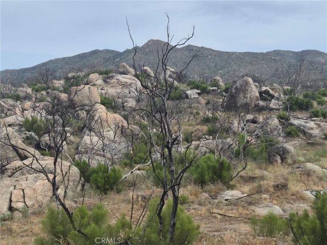 1 Tule Peak, Anza, CA 92536