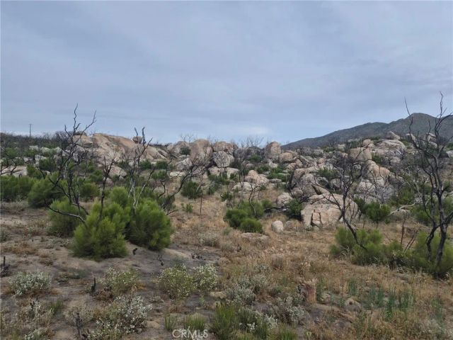 1 Tule Peak, Anza, CA 92536