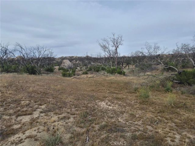 1 Tule Peak, Anza, CA 92536
