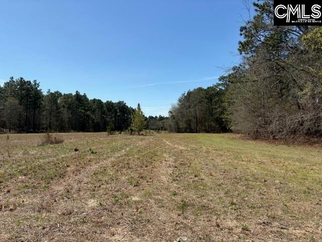 TBD Marcellus Road, Leesville, SC 29070