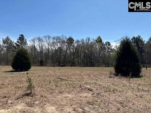 TBD Marcellus Road, Leesville, SC 29070