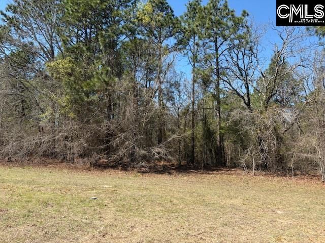 TBD Marcellus Road, Leesville, SC 29070