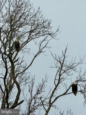 1880 E BUCKSHUTEM RD, Millville, NJ 08332