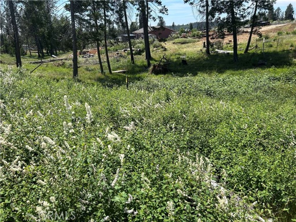 13664 Fritz Court, Magalia, CA 95954