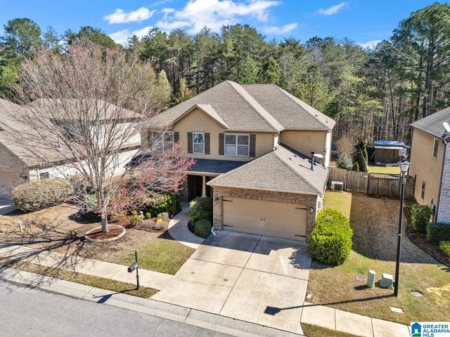 161 CHELSEA STATION DRIVE, Chelsea, AL 35043