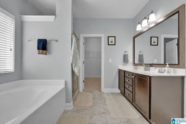 161 CHELSEA STATION DRIVE, Chelsea, AL 35043