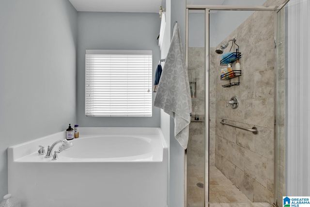 161 CHELSEA STATION DRIVE, Chelsea, AL 35043