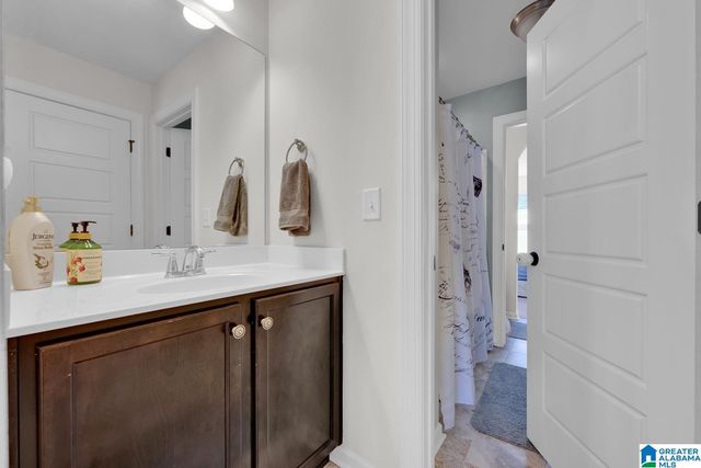 161 CHELSEA STATION DRIVE, Chelsea, AL 35043