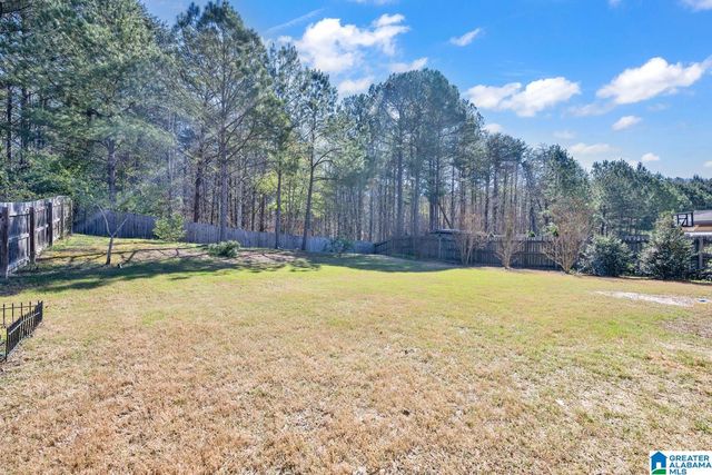 161 CHELSEA STATION DRIVE, Chelsea, AL 35043