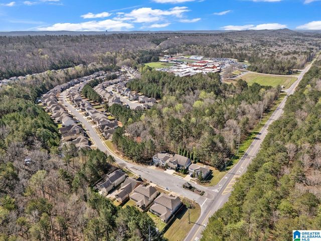 161 CHELSEA STATION DRIVE, Chelsea, AL 35043